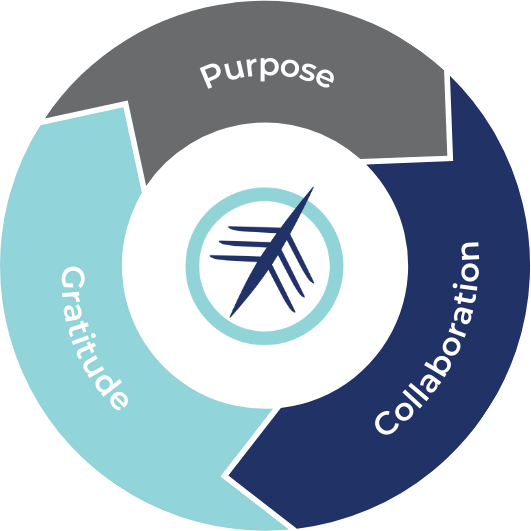 Consilarus values flywheel